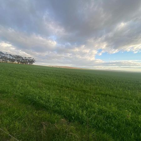 Staandakkie Guest Cottage Bredasdorp Dış mekan fotoğraf